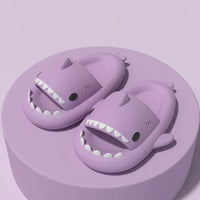 The Cloud  Shark™